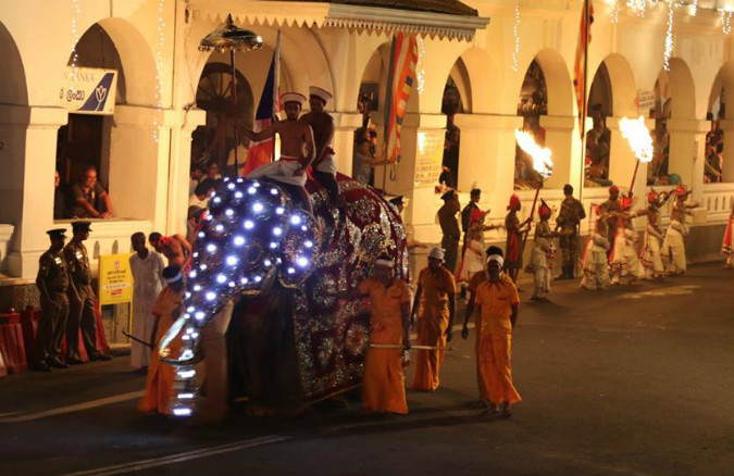 Kandy Procession (Perahera)